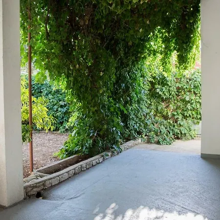 Apartment Lenka